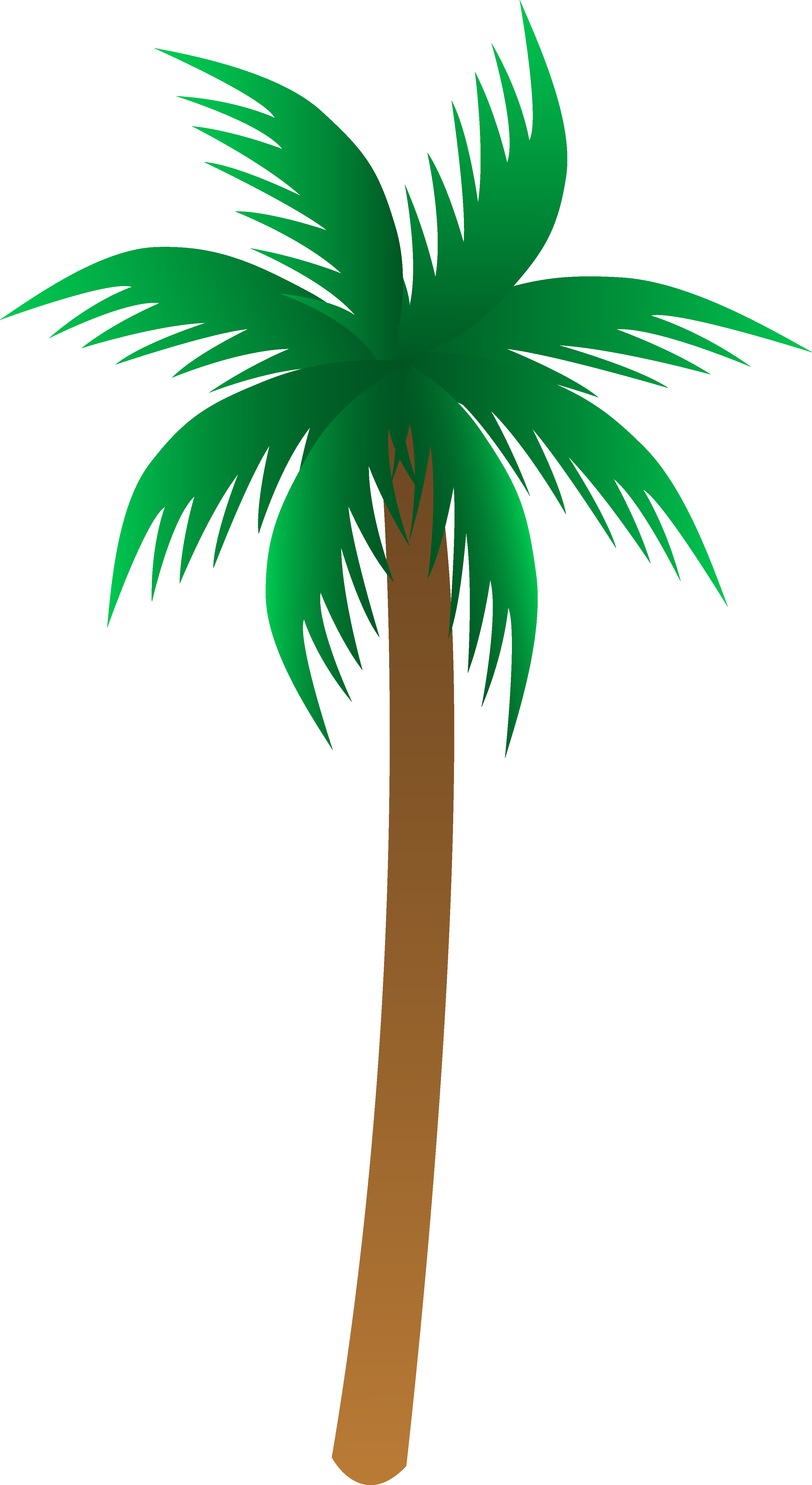 Detail Palm Treeclipart Nomer 12