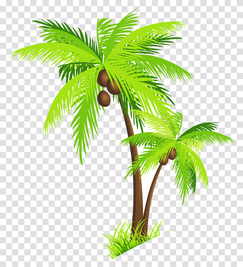 Detail Palm Trees 1080p Nomer 42