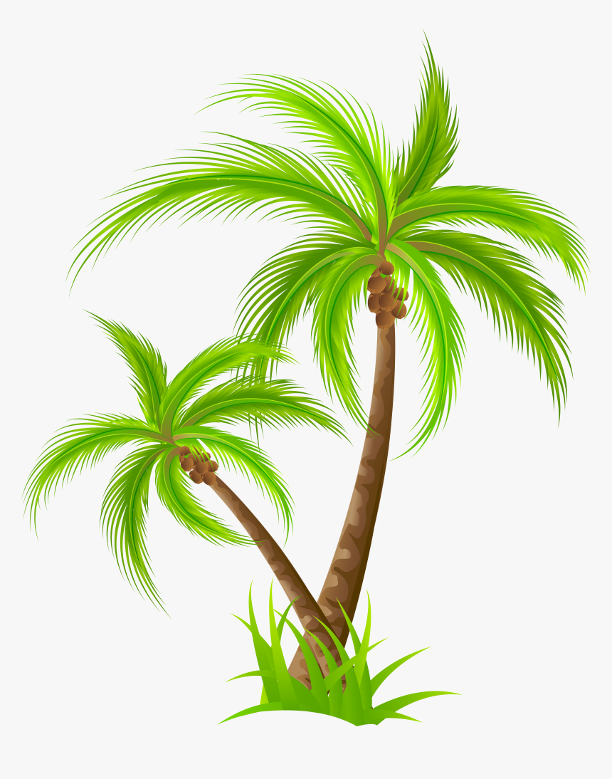 Detail Palm Trees Clipart Png Nomer 15