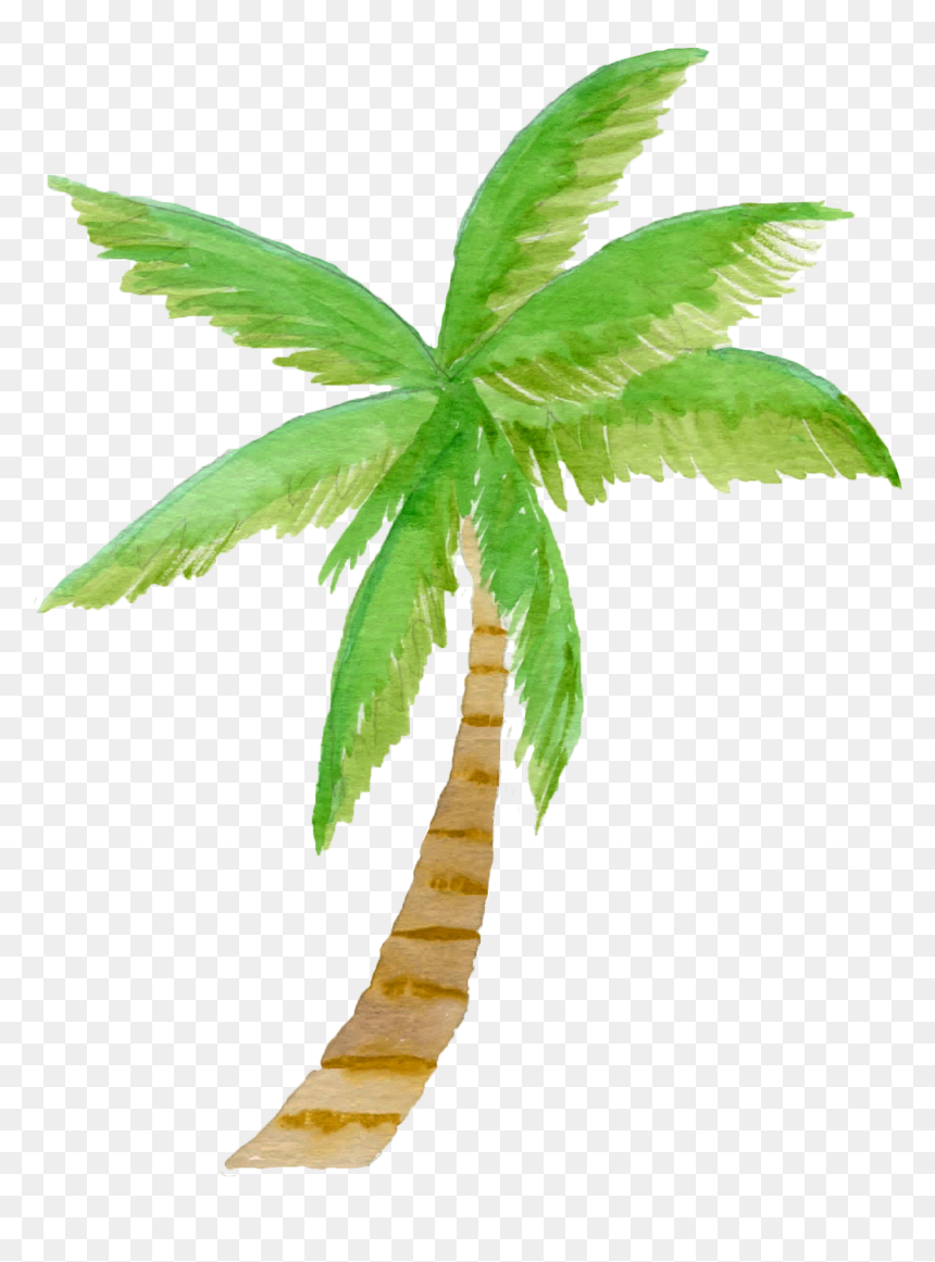 Detail Palm Trees Clipart Png Nomer 39