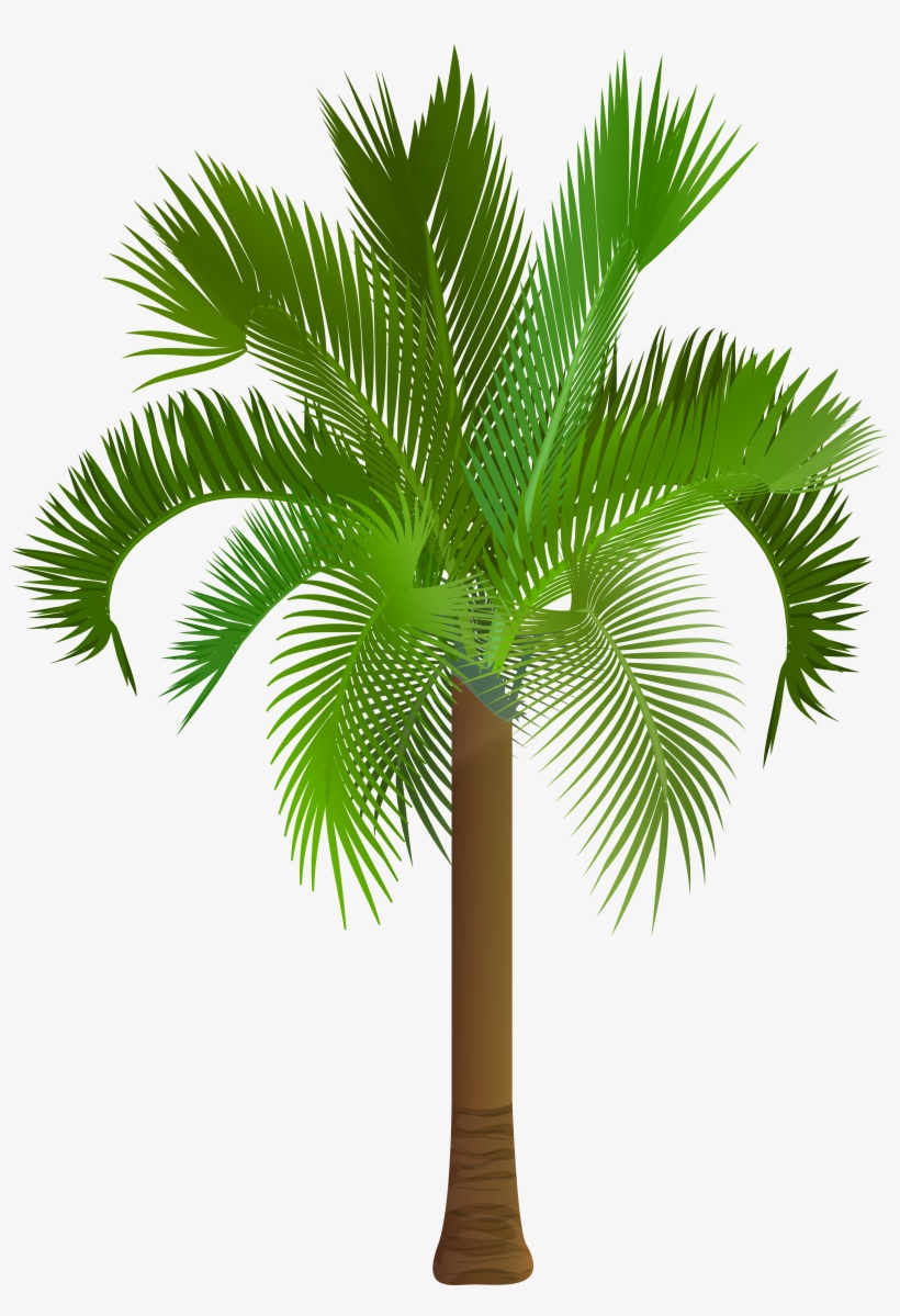 Detail Palm Trees Clipart Png Nomer 51