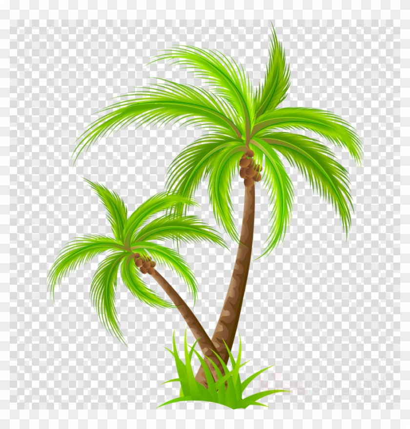 Detail Palm Trees Download Nomer 14