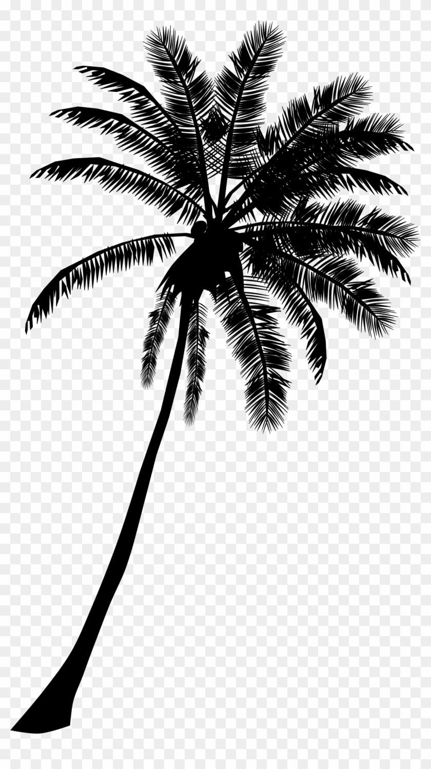 Detail Palm Trees Download Nomer 27