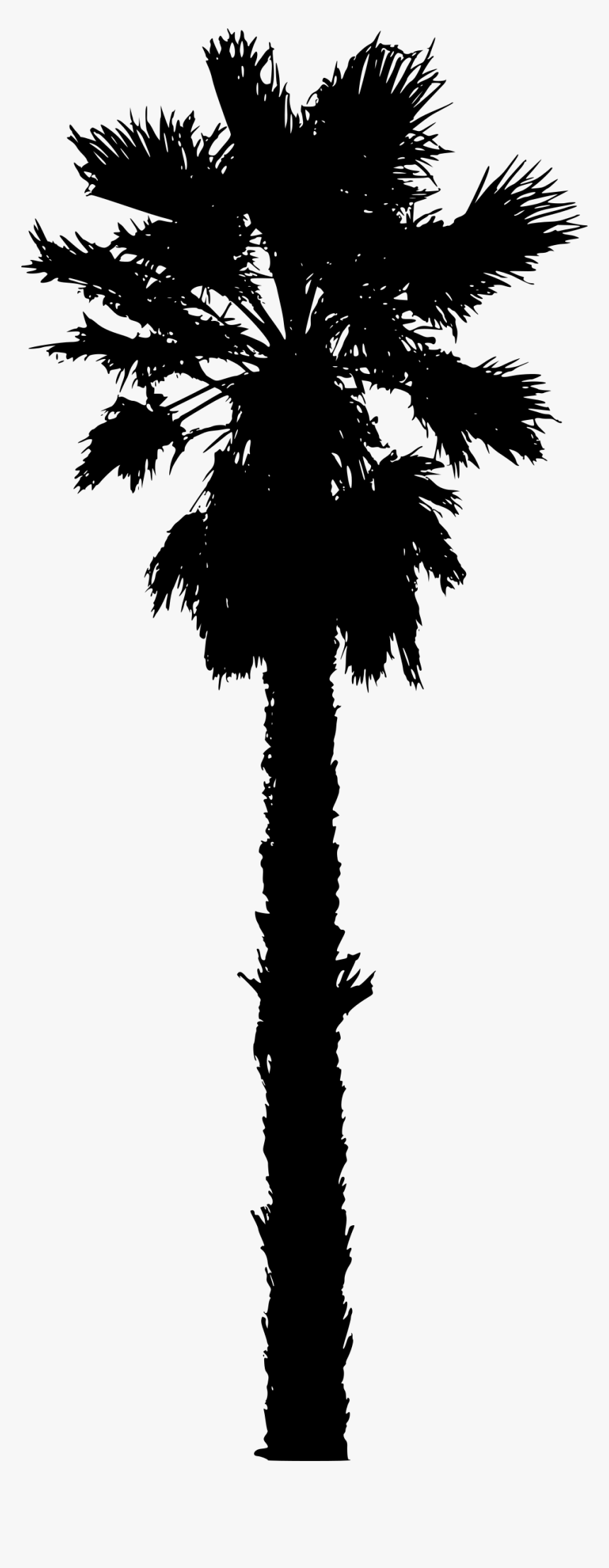 Detail Palm Trees Download Nomer 37