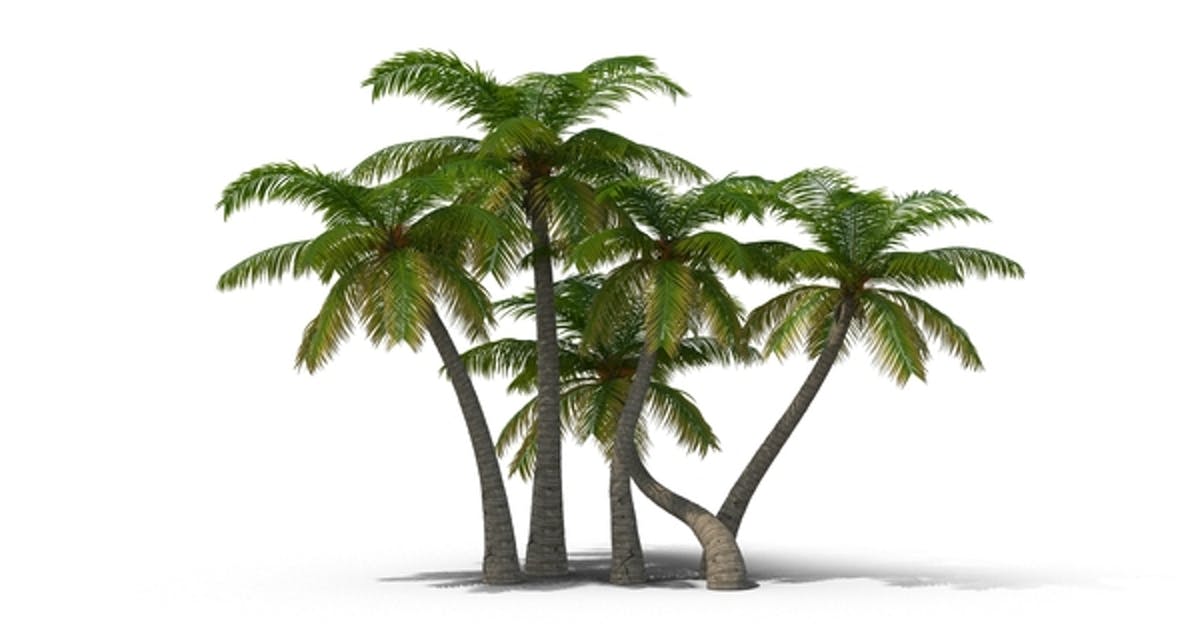 Detail Palm Trees Download Nomer 42