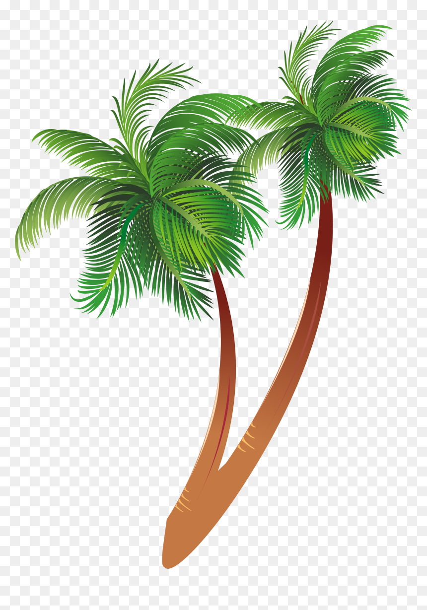 Detail Palm Trees Download Nomer 51