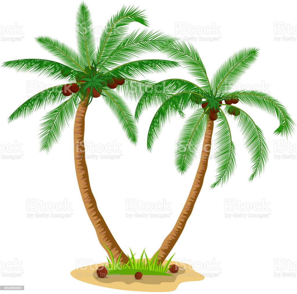 Detail Palm Trees Download Nomer 54