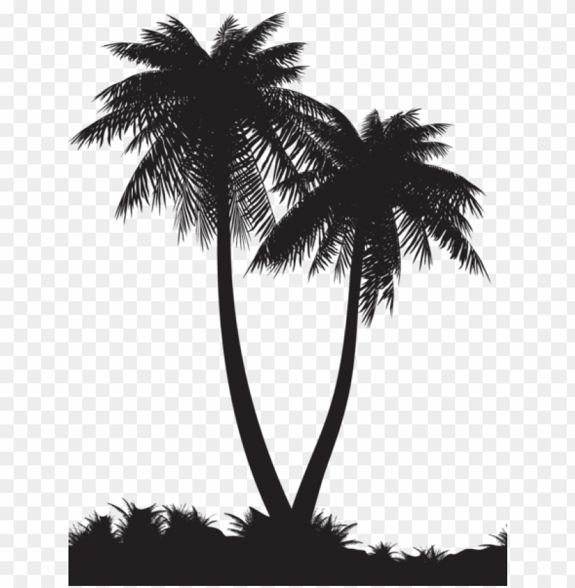 Detail Palm Trees Free Nomer 29