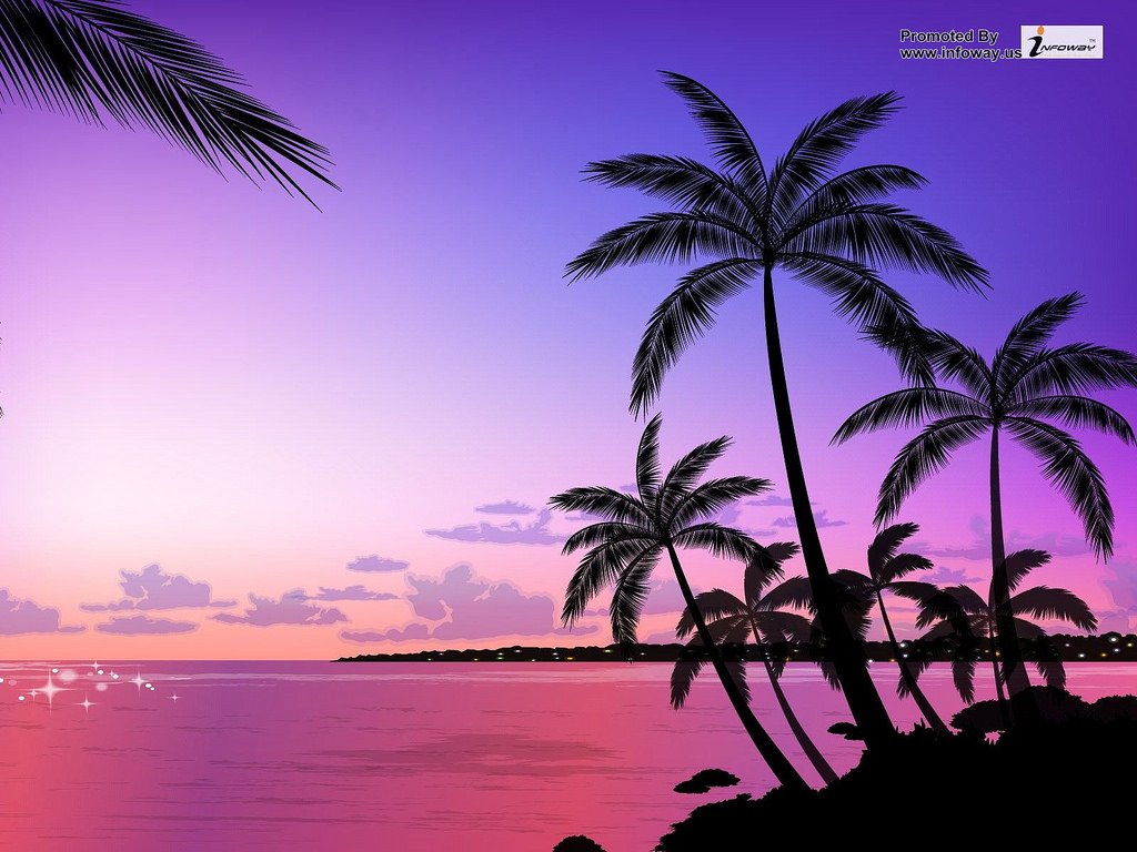 Detail Palm Trees Hd Nomer 45