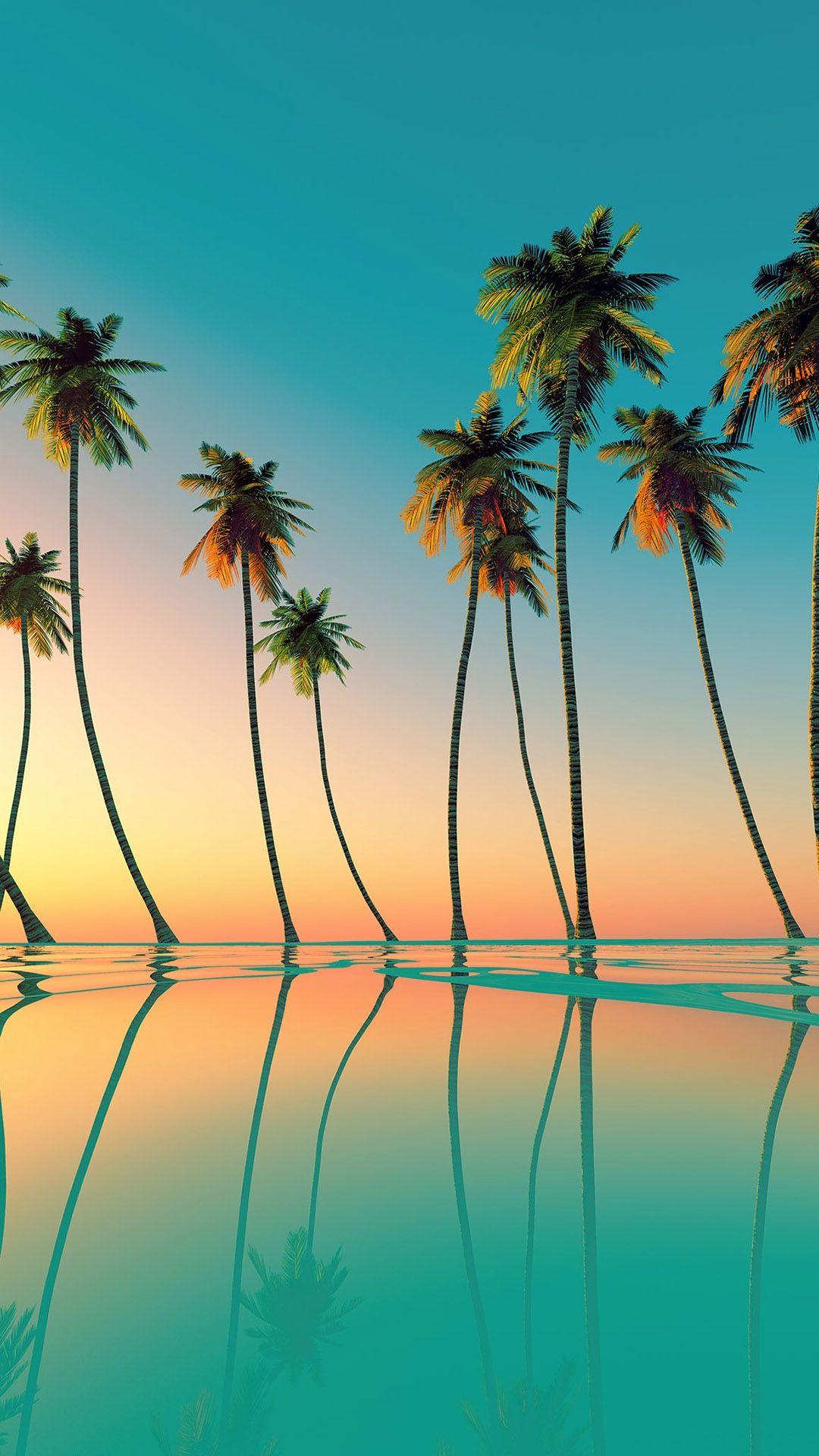 Detail Palm Trees Hd Nomer 57