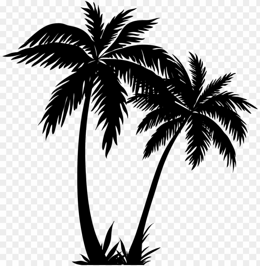 Detail Palm Trees No Background Nomer 3