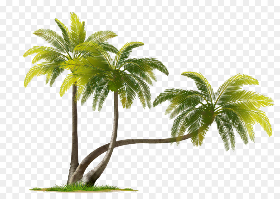 Detail Palm Trees Png Transparent Nomer 36