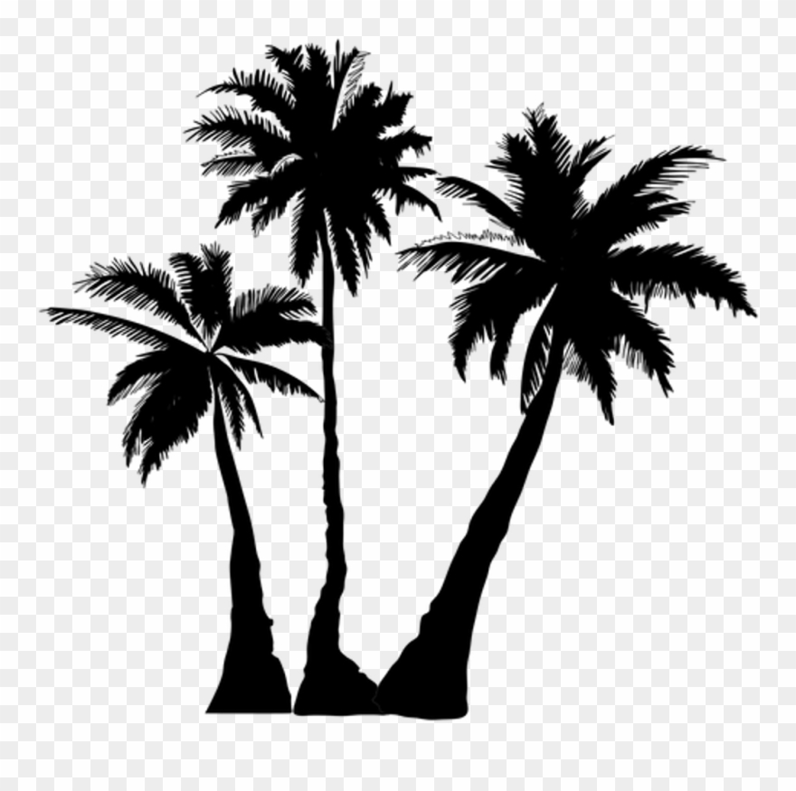 Detail Palm Trees Png Transparent Nomer 55