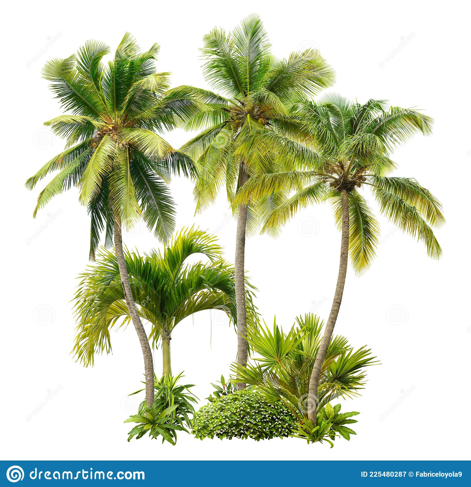 Detail Palm Trees Png Transparent Nomer 7