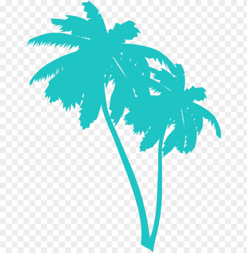 Detail Palm Trees Transparent Nomer 20