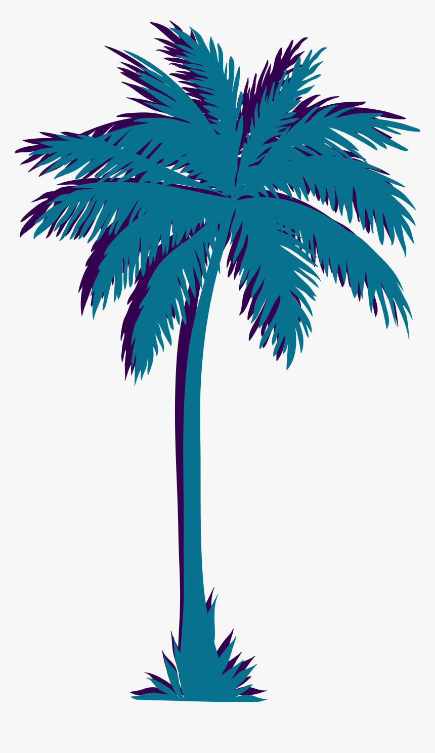 Detail Palm Trees Transparent Nomer 28