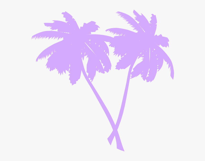 Detail Palm Trees Transparent Background Nomer 34