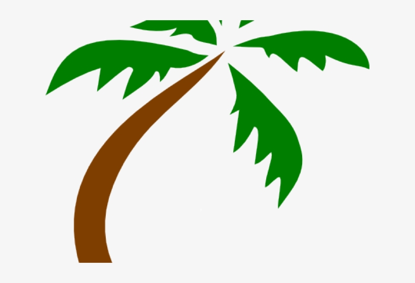 Detail Palm Trees Transparent Background Nomer 40