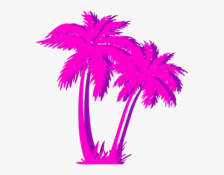 Detail Palm Trees Transparent Background Nomer 42