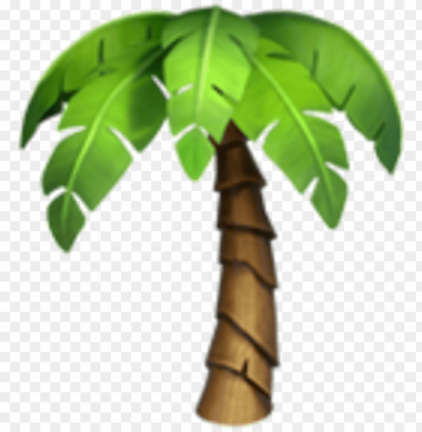 Detail Palm Trees Transparent Background Nomer 49