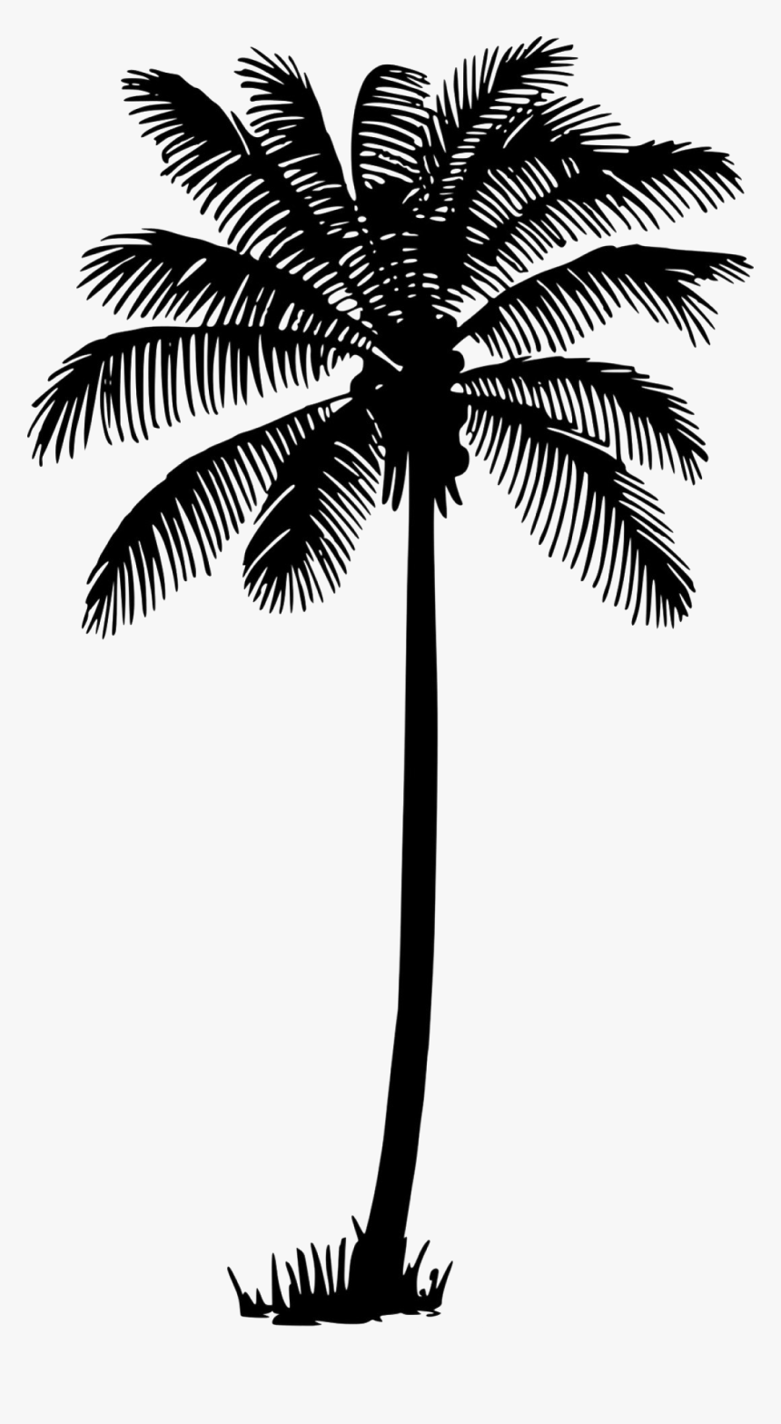 Palm Vector Png - KibrisPDR