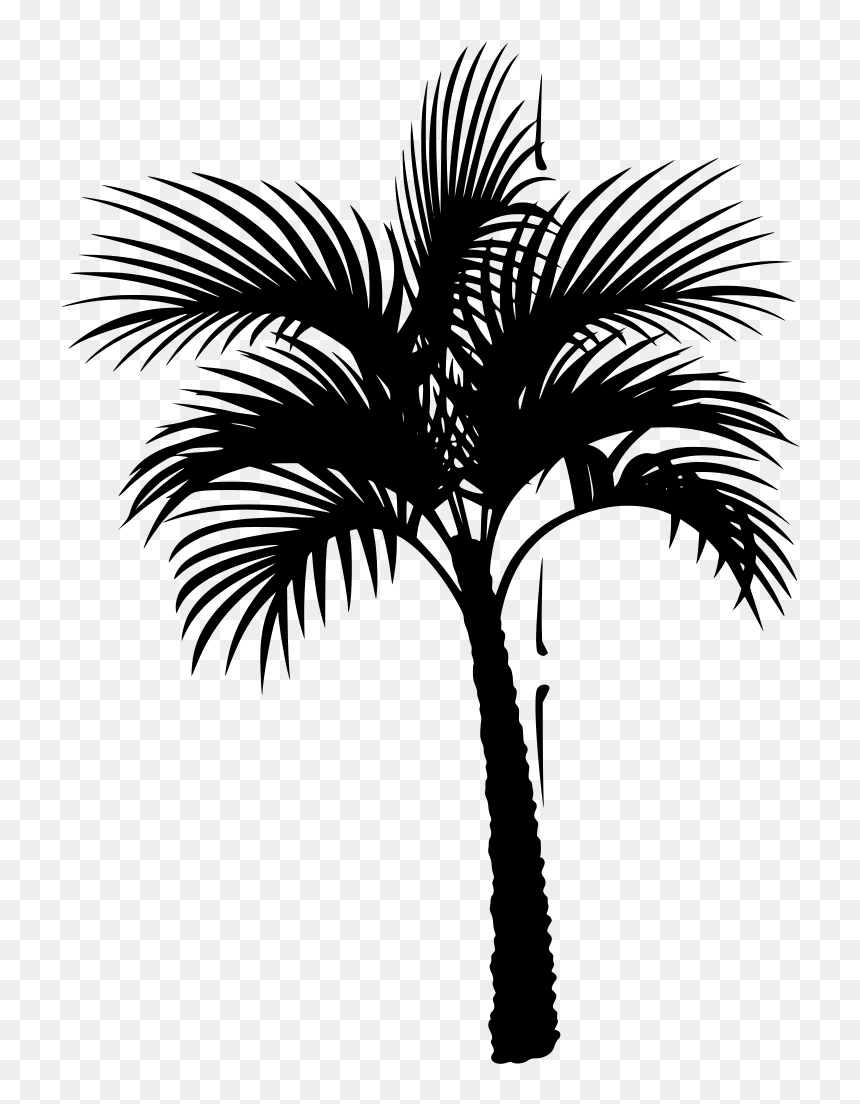 Detail Palm Vector Png Nomer 34