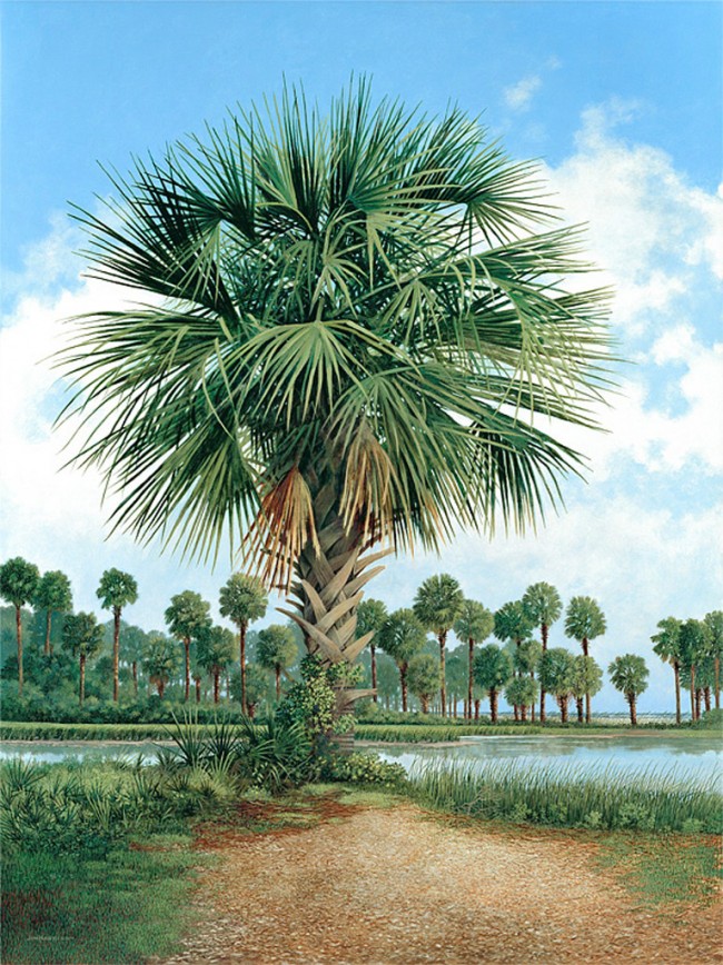 Detail Palmetto Tree Images Nomer 16