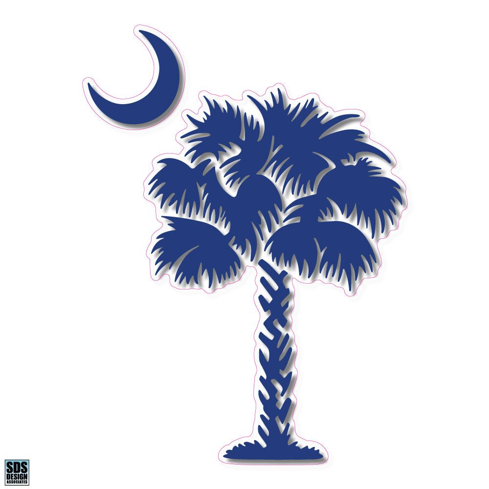 Detail Palmetto Tree Images Nomer 28