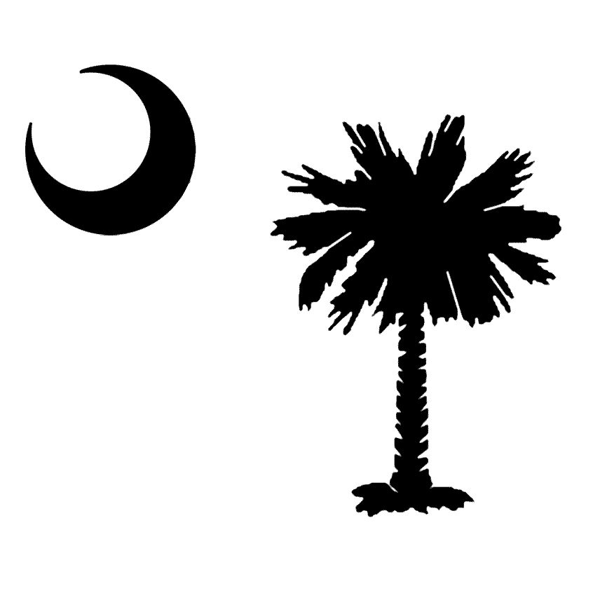 Detail Palmetto Tree Images Nomer 29