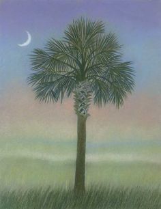 Detail Palmetto Tree Images Nomer 31
