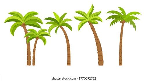 Palmtree Pics - KibrisPDR