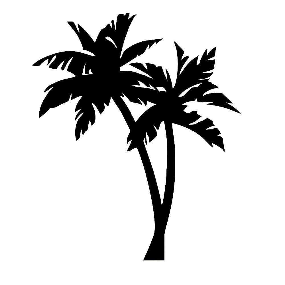 Detail Palmtree Pics Nomer 38