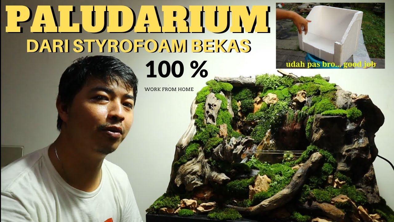 Paludarium Dari Styrofoam - KibrisPDR