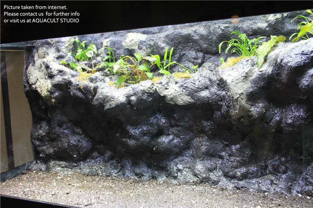 Detail Paludarium Dari Styrofoam Nomer 19