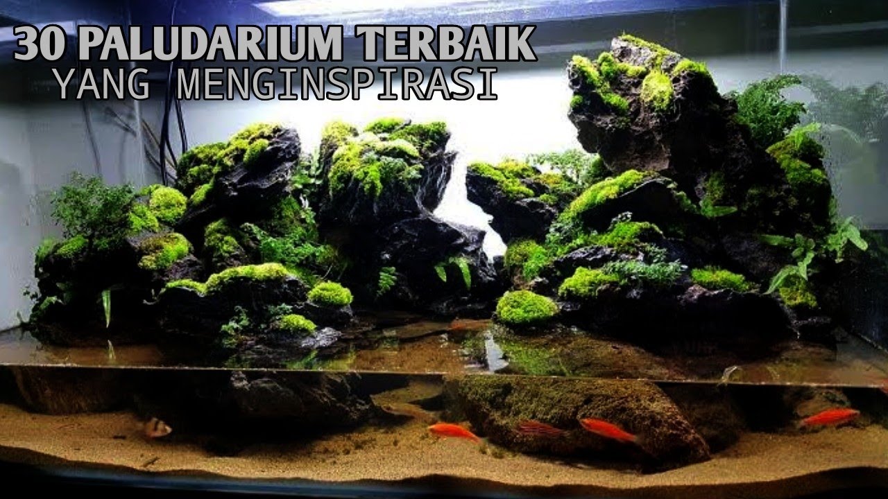 Detail Paludarium Keren Nomer 3