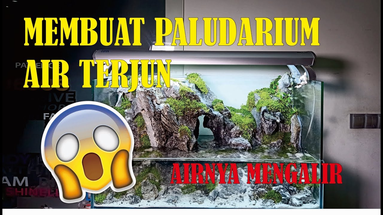 Detail Paludarium Keren Nomer 28