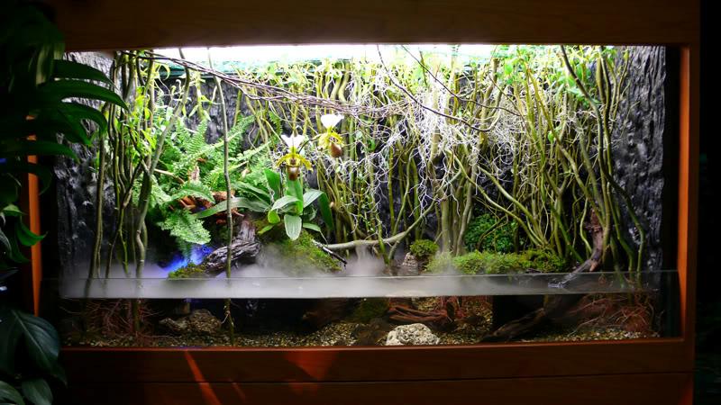 Detail Paludarium Keren Nomer 39