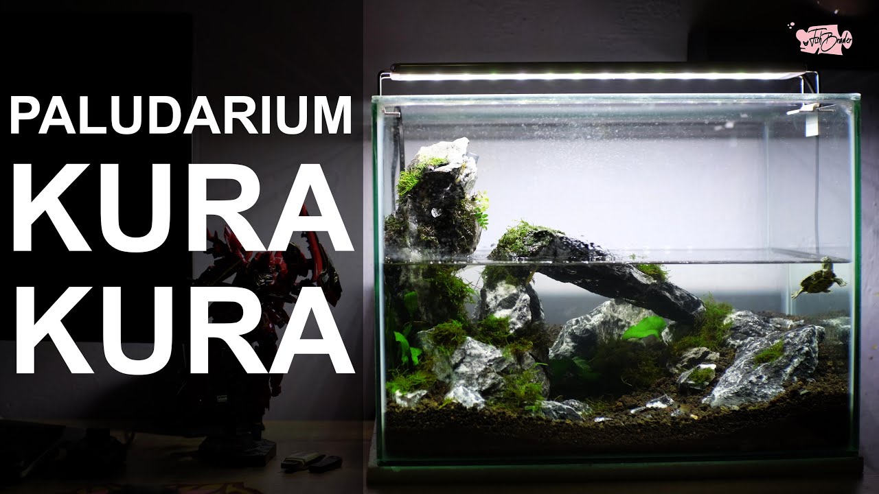 Detail Paludarium Kura Kura Nomer 3