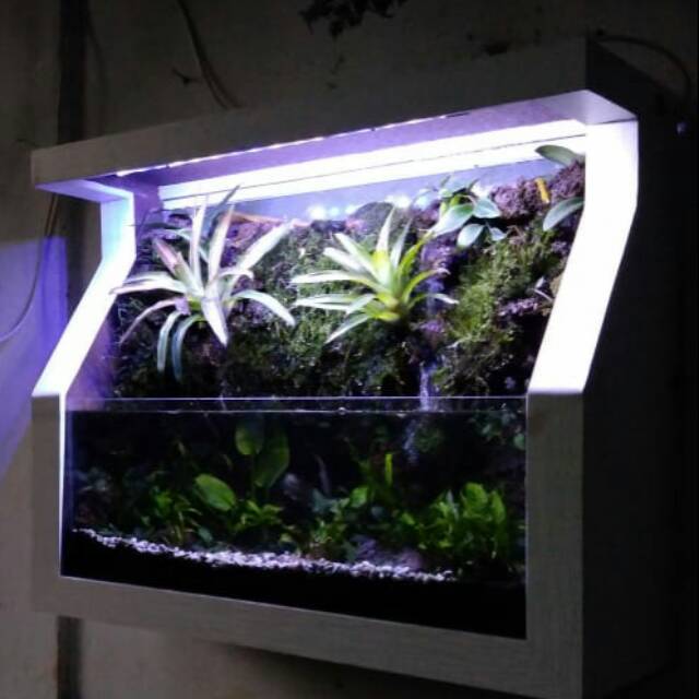 Detail Paludarium Terbaik Nomer 10