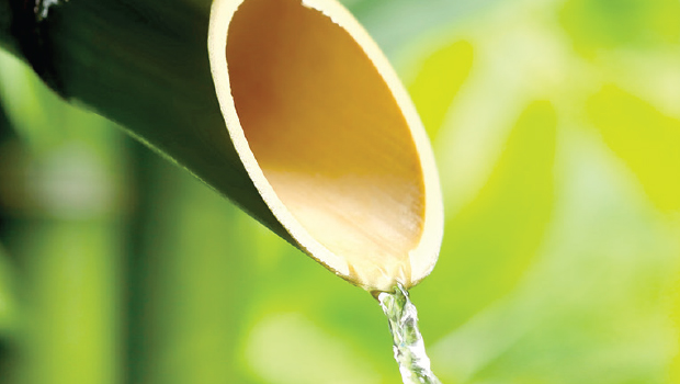 Detail Pancuran Air Dari Bambu Nomer 20