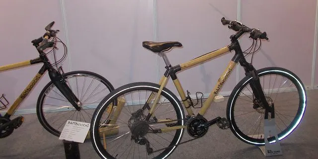 Detail Panda Bamboo Bikes Cost Nomer 38