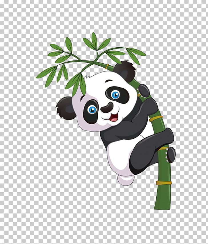 Detail Panda Bear Png Nomer 46