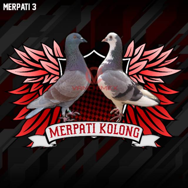 Detail Logo Team Merpati Nomer 14