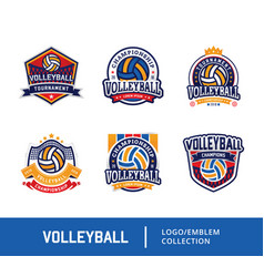 Detail Logo Team Volly Nomer 13