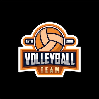 Detail Logo Team Volly Nomer 29