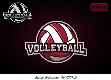 Detail Logo Team Volly Nomer 51