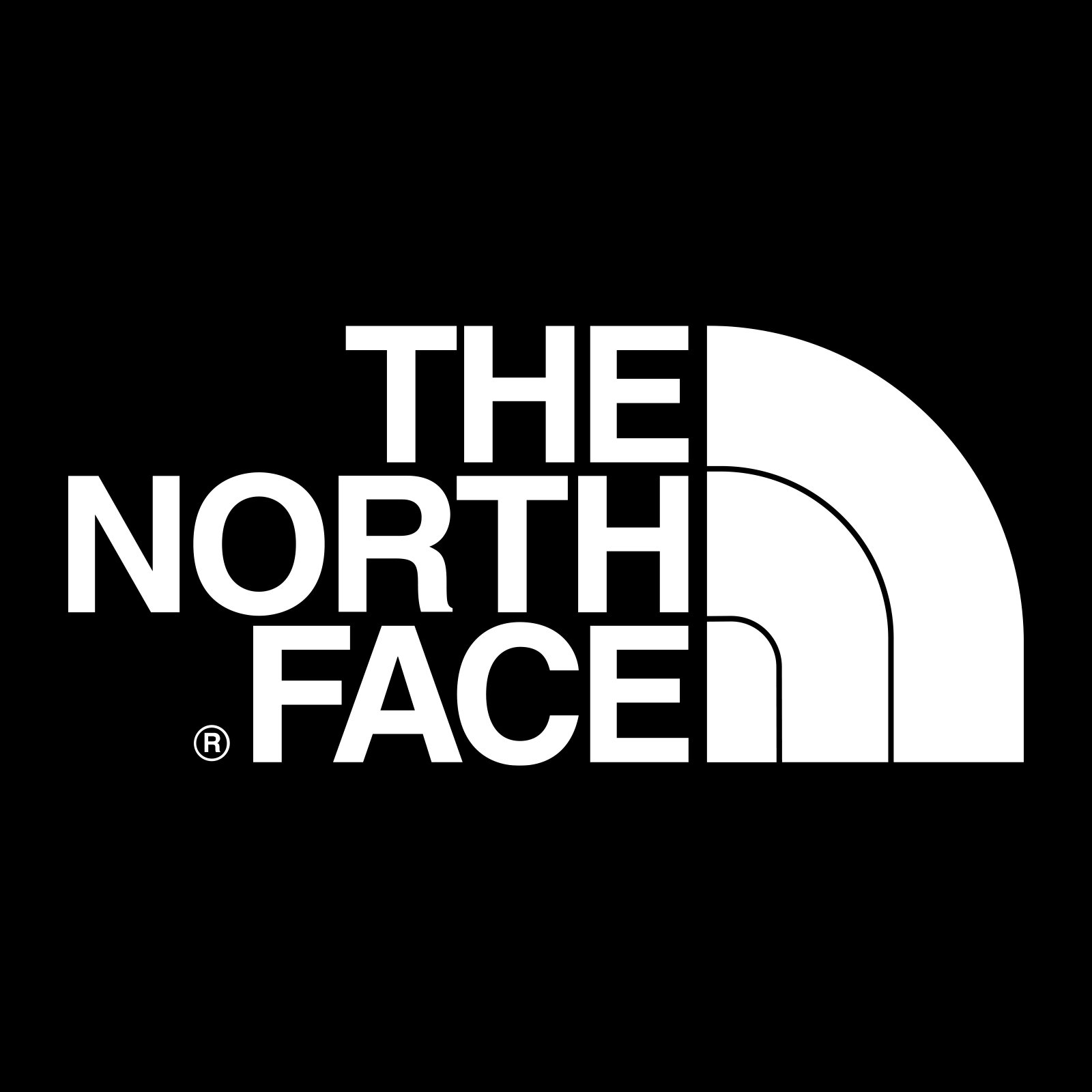 Detail Logo The North Face Nomer 8