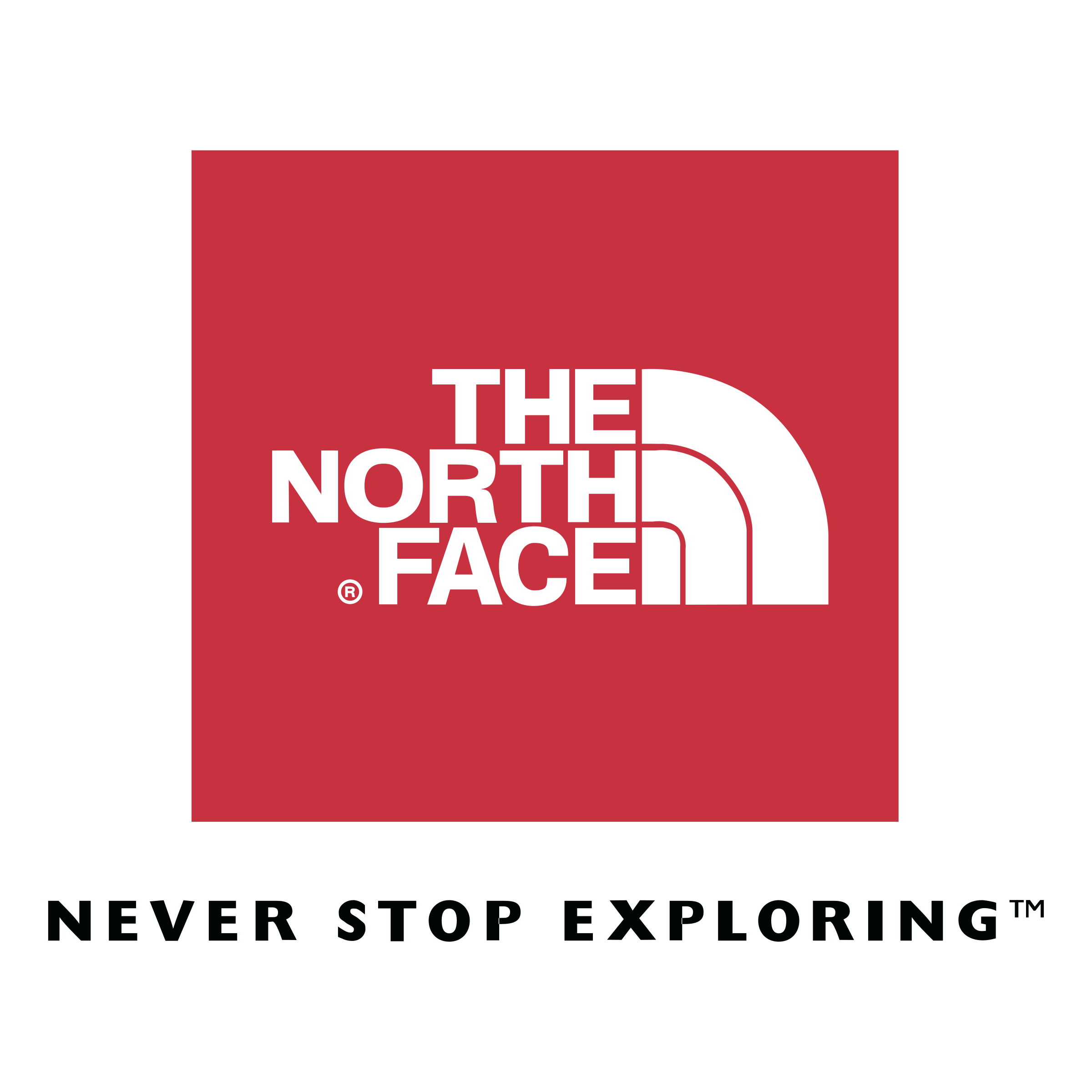 Detail Logo The North Face Png Nomer 7