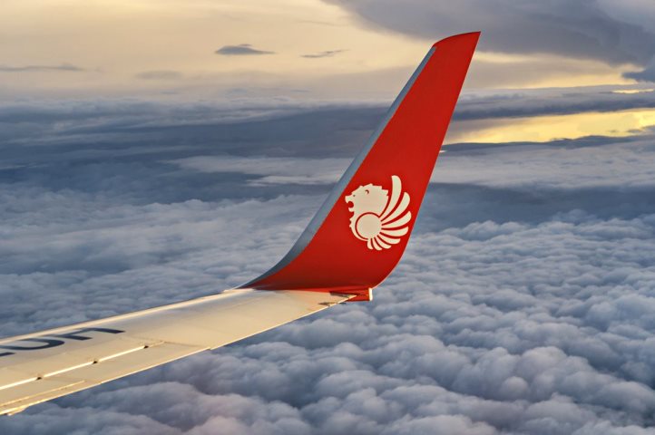 Detail Logo Tiket Lion Air Nomer 45