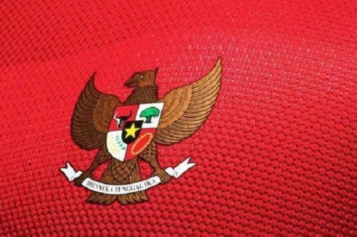 Detail Logo Timnas Belanda Nomer 40